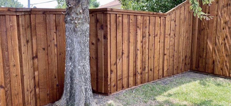Cedar Privacy Fence in Mansfield